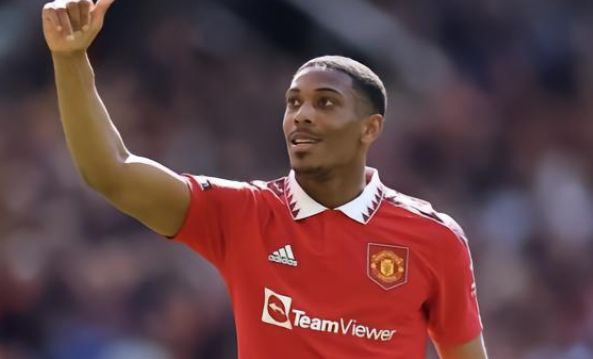 的职业生涯 的职业生涯